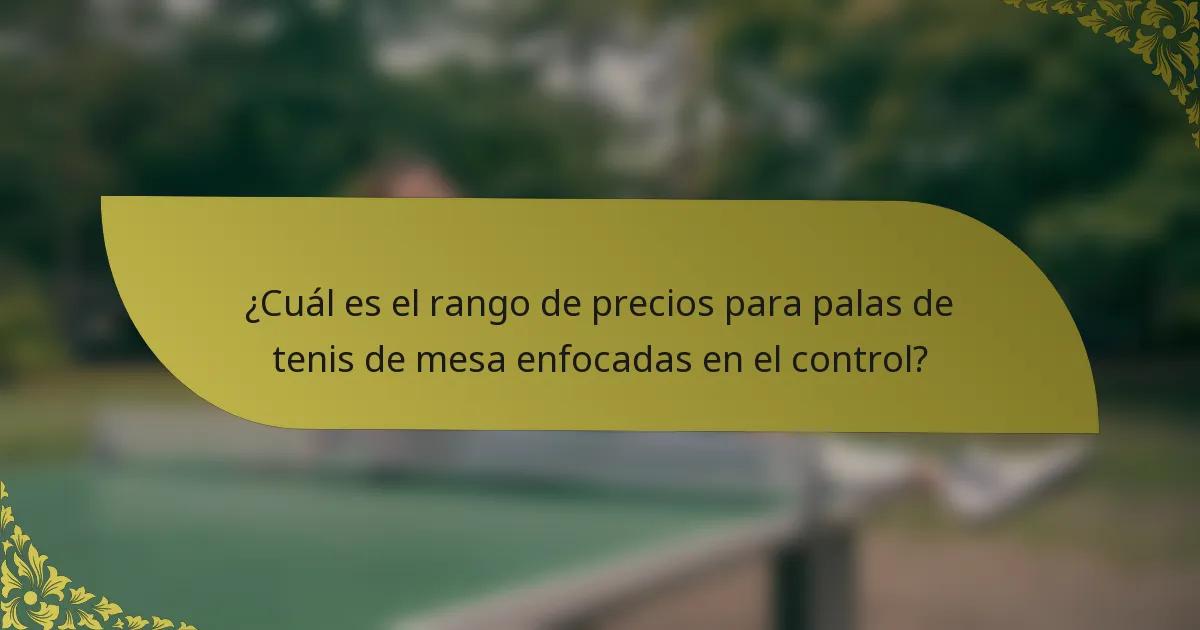 ¿Cuál es el rango de precios para palas de tenis de mesa enfocadas en el control?
