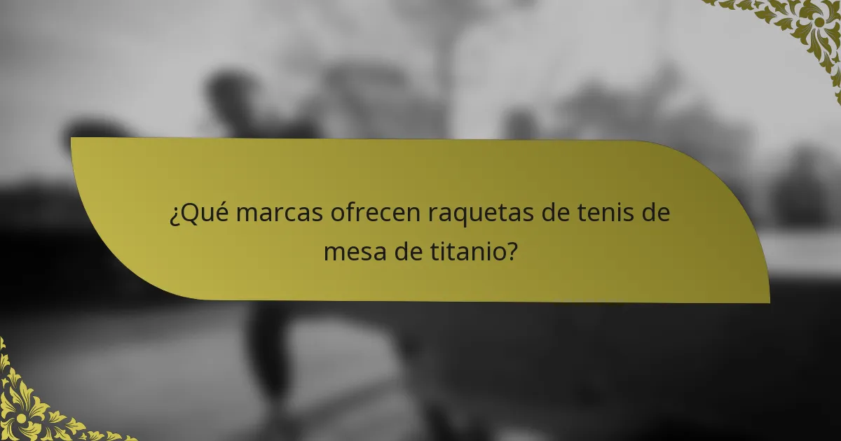 ¿Qué marcas ofrecen raquetas de tenis de mesa de titanio?