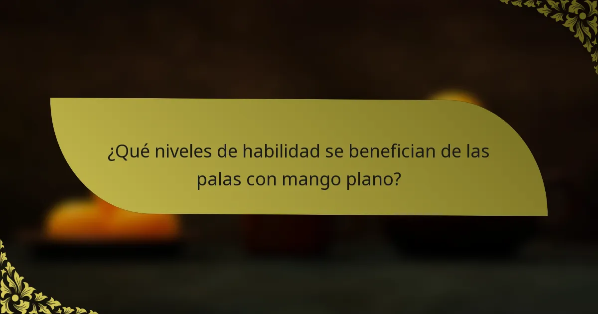 ¿Qué niveles de habilidad se benefician de las palas con mango plano?