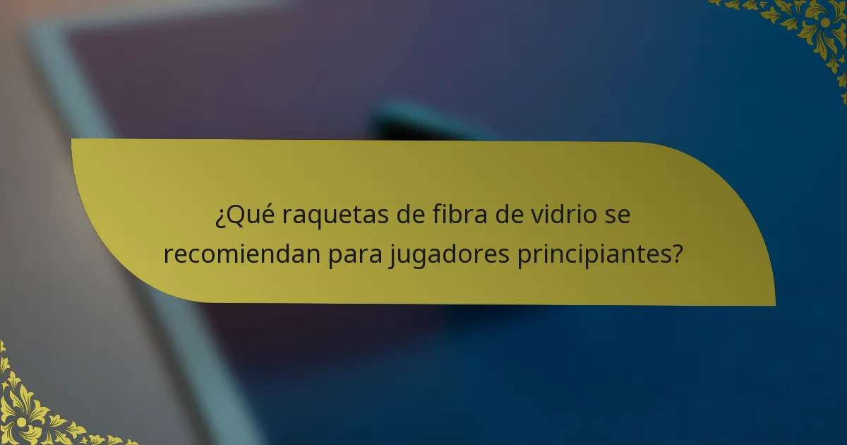 ¿Qué raquetas de fibra de vidrio se recomiendan para jugadores principiantes?