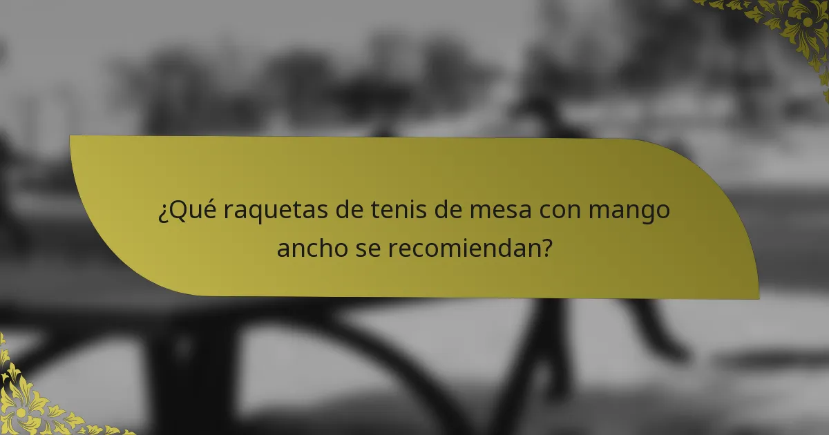 ¿Qué raquetas de tenis de mesa con mango ancho se recomiendan?